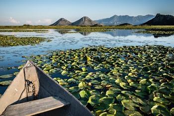 Lake Skadar Montenegro