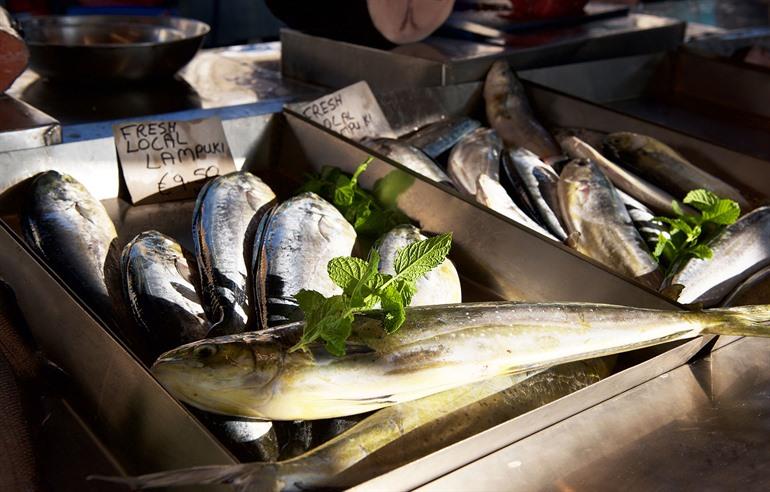 Lampuki vis kopen op de vismarkt, Malta