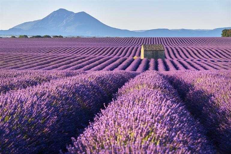 Landschap nabij Plateau de Valensole
