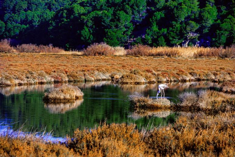 Landschap van het kanaal bij Gruissan 