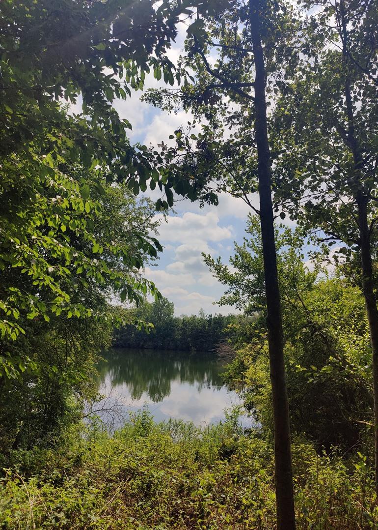 Langs de Gatesvijver, wandeling door de Wellemeersen