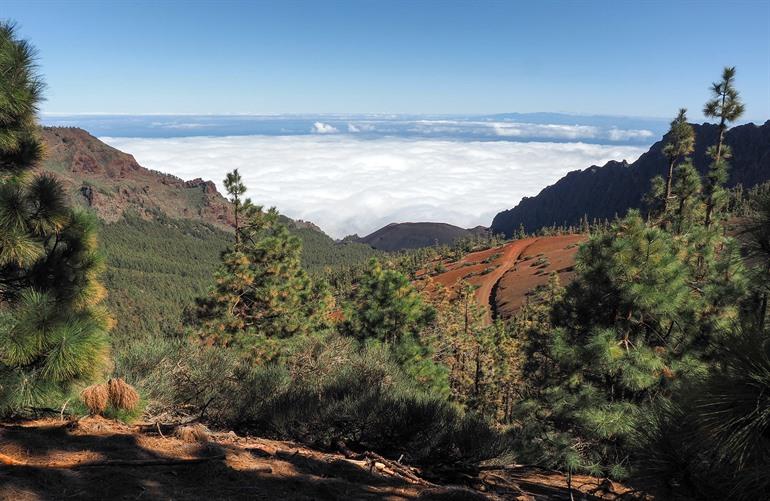 Las Lagunetas, Tenerife