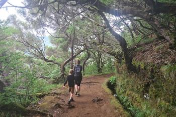 Levada das 25 Fontes PR6 wandeling op Madeira