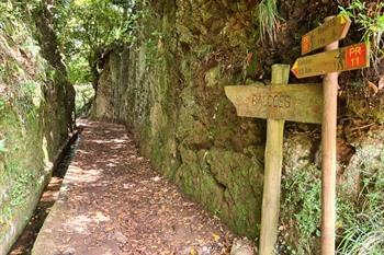 Levada dos Balcões PR11 wandeling op Madeira