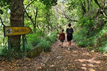 Levada dos Balcões PR11 wandeling op Madeira