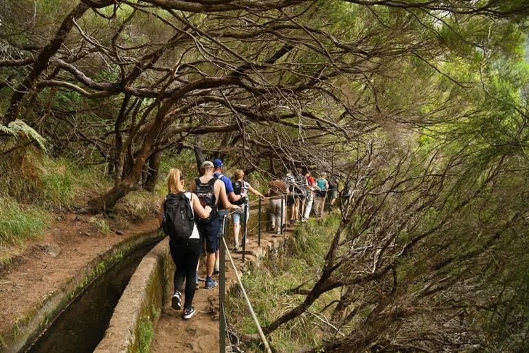 Levada