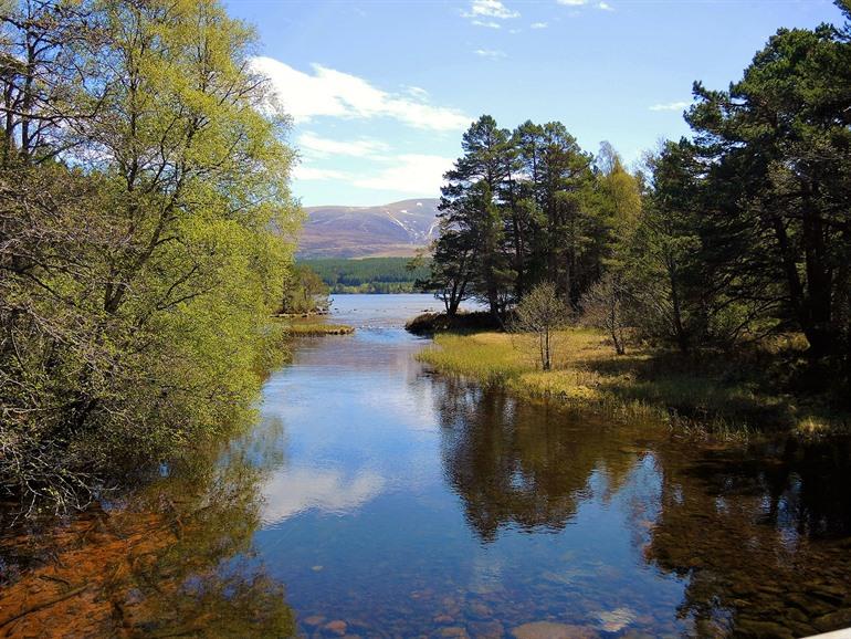 Loch Morlich en Glenmore Forest Park bezoeken, Schotland