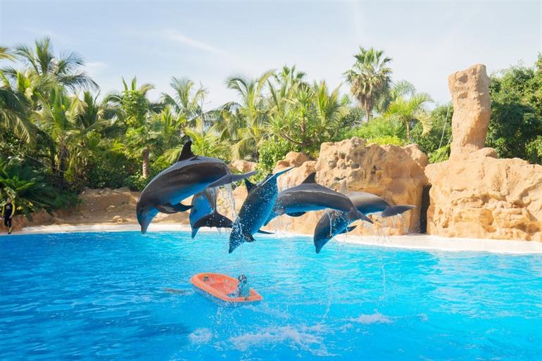 Loro Parque dolfijnen