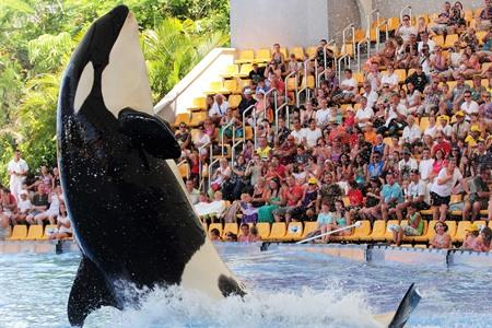 Loro Parque orka