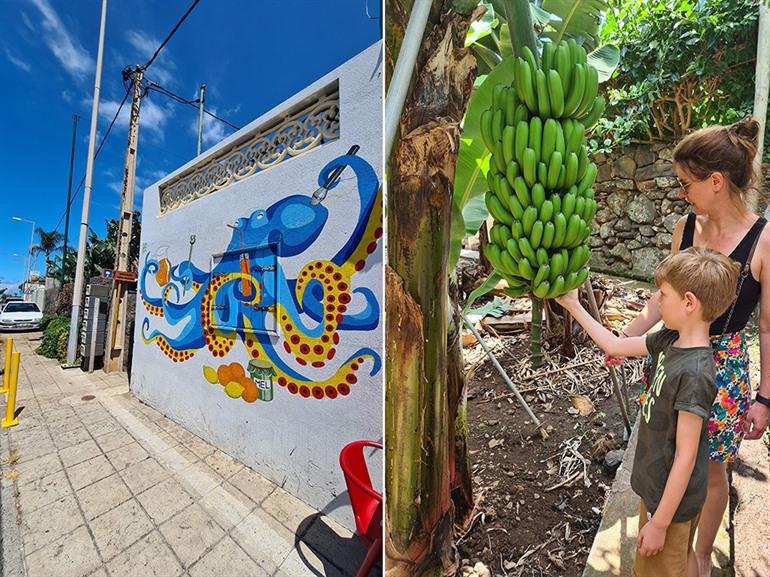 Madalena do Mar, Madeira