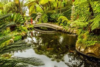 Madeira, Monte