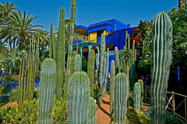 Majorelletuin in Marrakesh