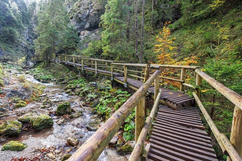 Mala Fatra national park in Slowakije