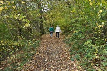 Marcourt-Rendeux wandelroute