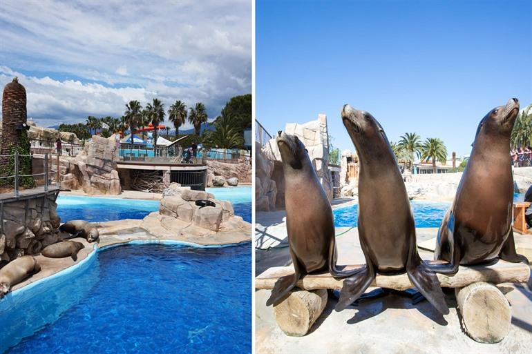 Marineland France bezoeken, Côte d'Azur