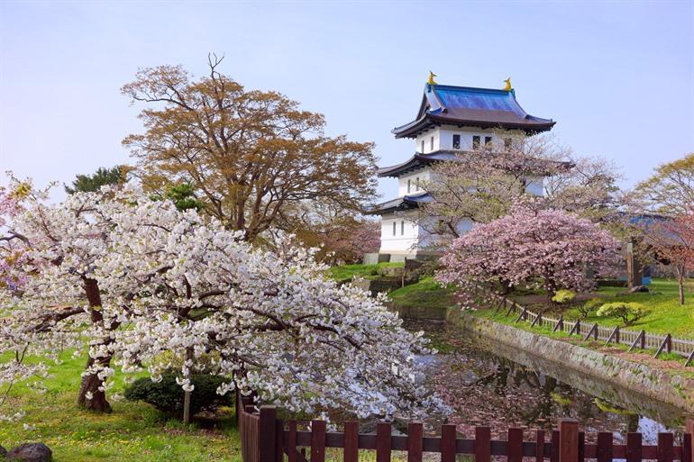 Matsumae Castle tussen de kersenbloesems