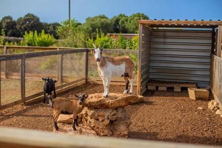 Menorca Agroturismo Llimpet in Alaior boeken