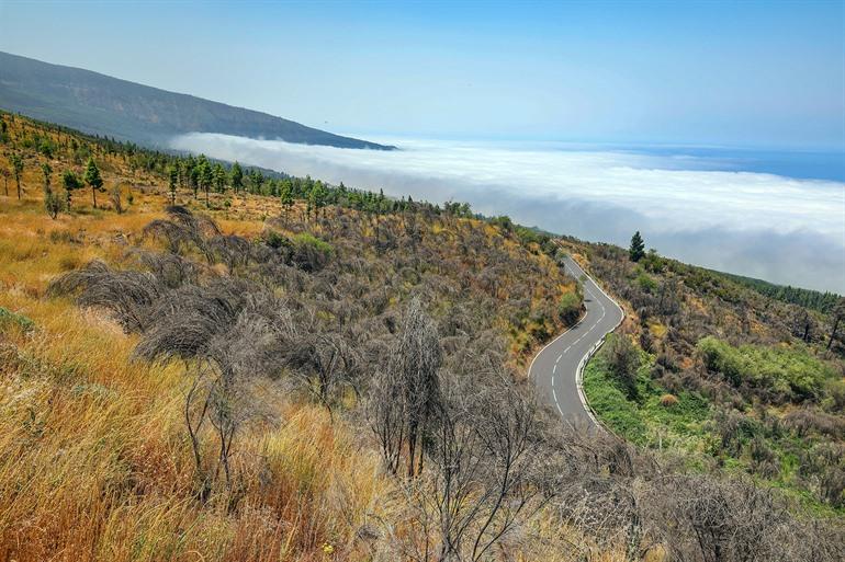 Met de auto rijden door het nationaal park El Teide