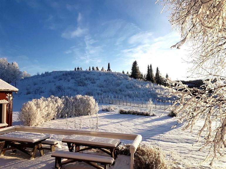 Millestgarden Eco lodge (Duved)