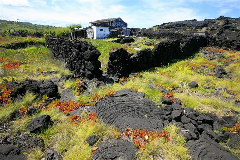 Mistério da Silveira