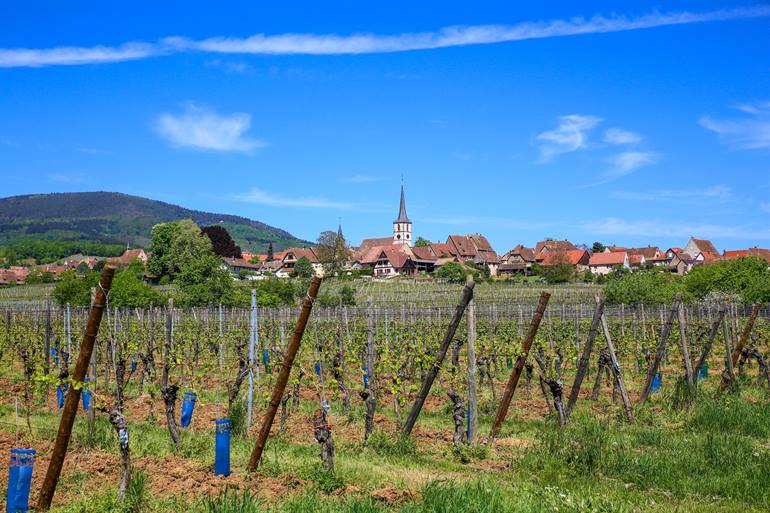 Mittelbergheim in de Elzas