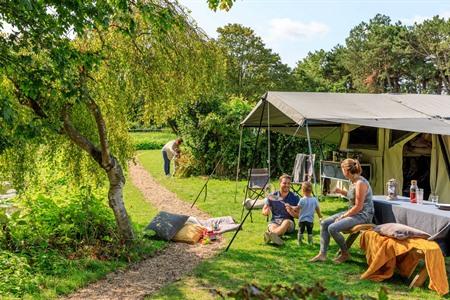 10 x beste campings in Zuid-Holland: waar kamperen + tips?