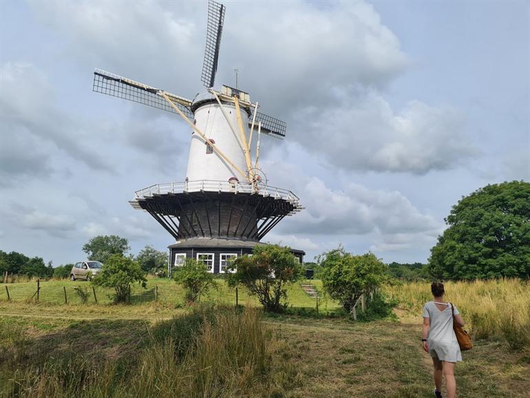 Molen de Koe in Veere