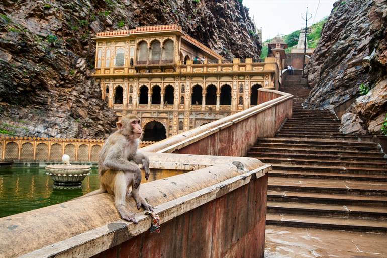 Monkey Temple