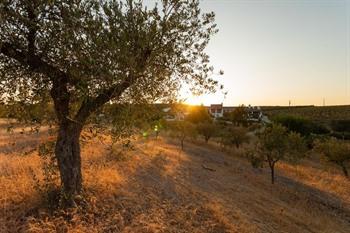 Monte da Estrela - Country House & SPA