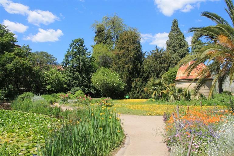 Montpellier: Jardin des Plantes