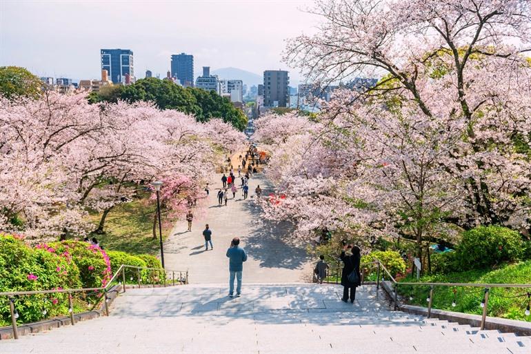 Mooi uitzicht in Nishi Park