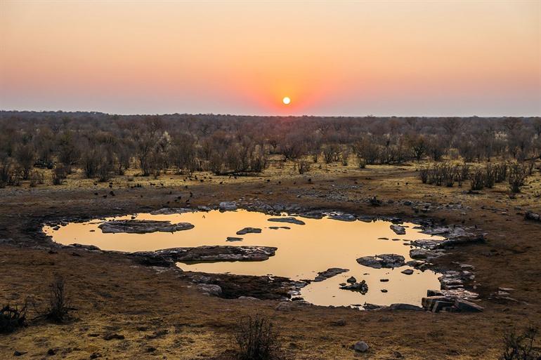Moringa waterhole in Etosha National Park