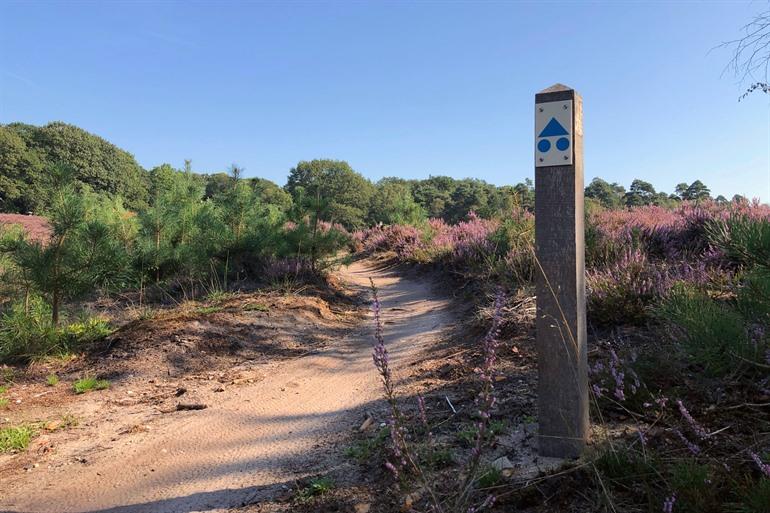 Mountainbikeroute door de heide