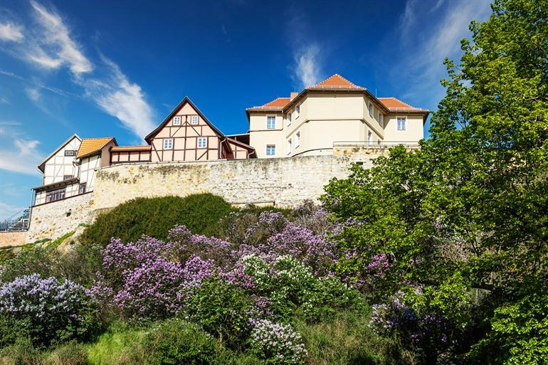 Münzenberg in Quedlinburg