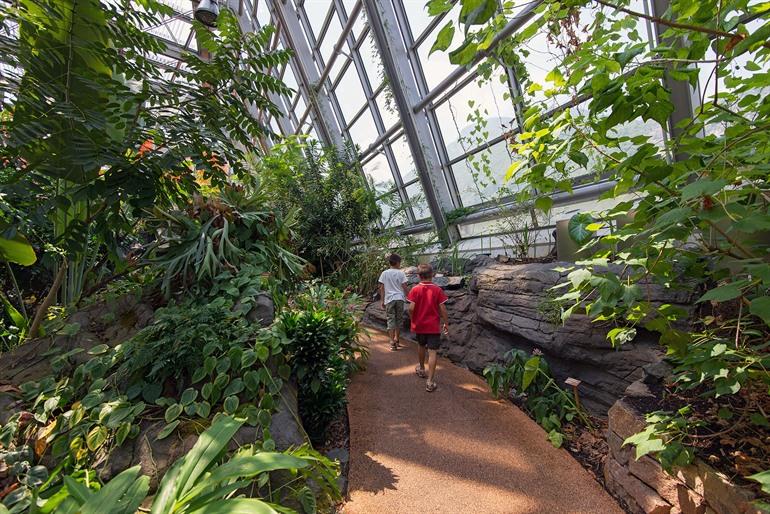 MUSE, Wetenschapsmuseum in Trento bezoeken