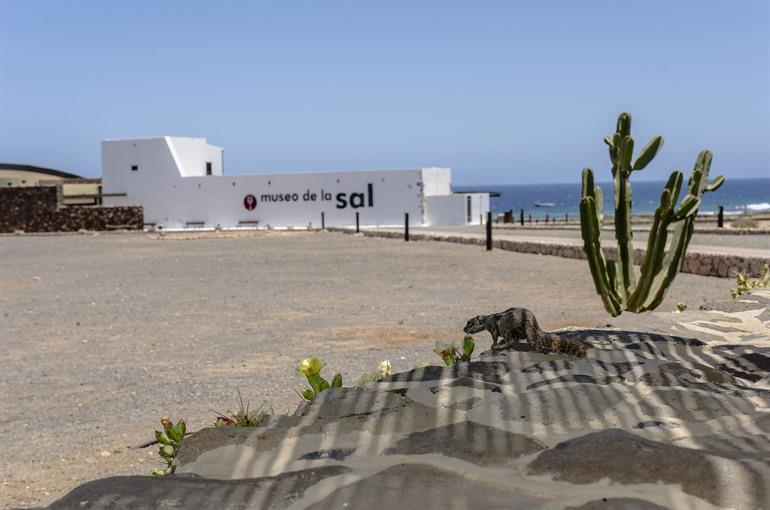 Museo de la Sal, Salinas del Carmen in Fuerteventura
