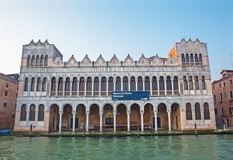 Museo di Storia Naturale bezoeken in Venetië