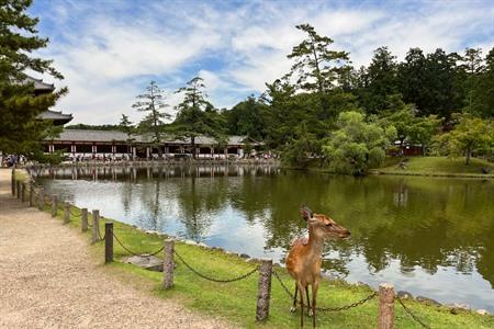 Nara, historische stad in Japan