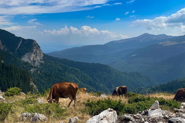 Nationaal park Bjeshkët e Nemuna