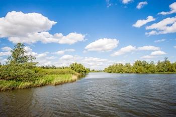 Nationaal Park De Biesbosch