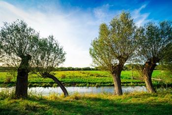 Nationaal Park De Biesbosch