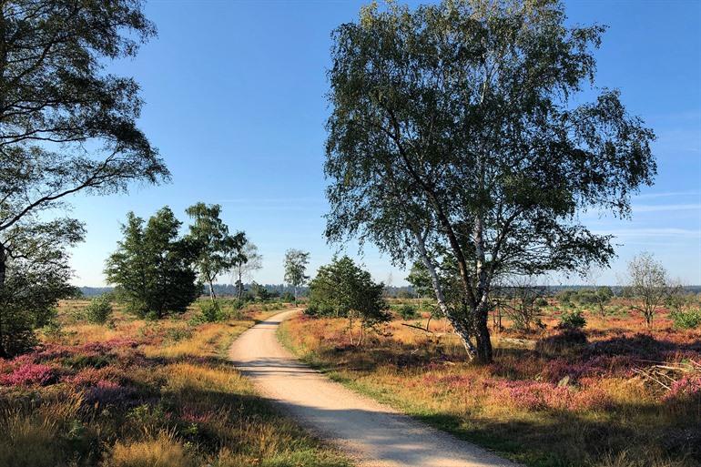 Nationaal Park de Sallandse Heuvelrug