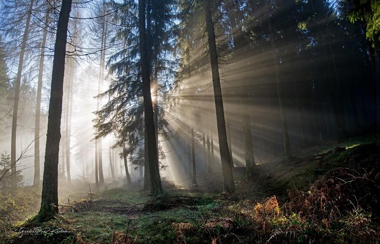 Nationaal Park Hunsrück-Hochwald
