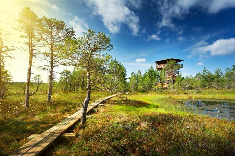 Nationaal park Lahemaa bezoeken in Estland
