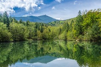 Nationaal park Pelister bezoeken, Noord-Macedonië