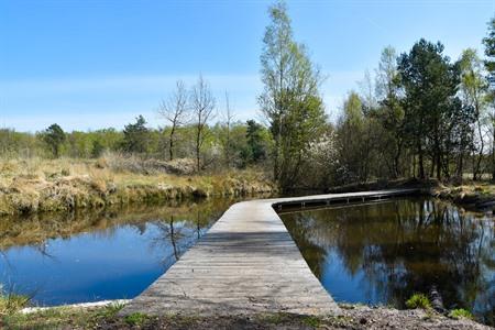 Nationaal Park van de Hoge Kempen