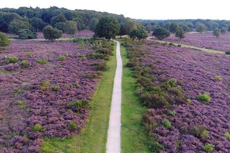 Nationaal Park Veluwezoom