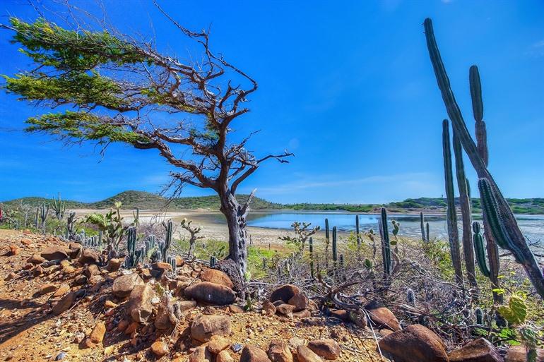 Nationaal park Washington-Slagbaai bezoeken, Bonaire