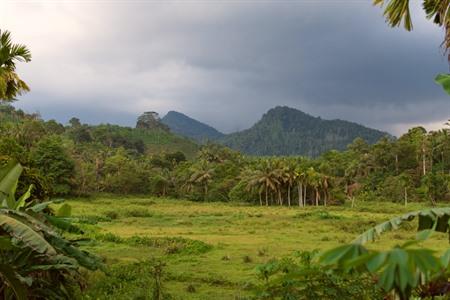 De 8 mooiste nationale parken in Sri Lanka: van Wilpattu tot Gal Oya