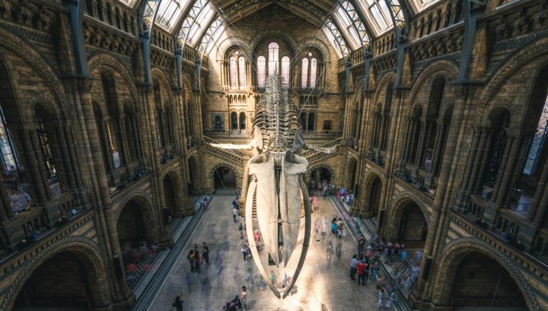 Natural History Museum